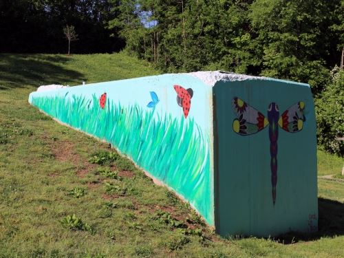 Dragonfly Mural